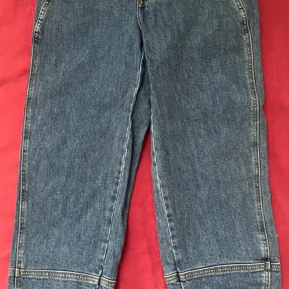 Everlane Women's Utility Barrel Pant in New Blue, Size 25 - Picture 5 of 6